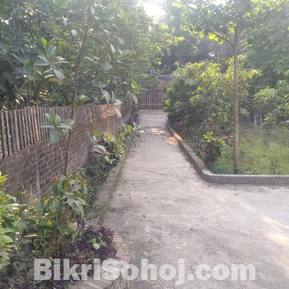 Full furnish house rent